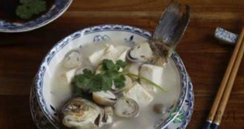 青鱼的吃法_哪些人不能吃青鱼 青鱼的吃法_哪些人不能吃青鱼