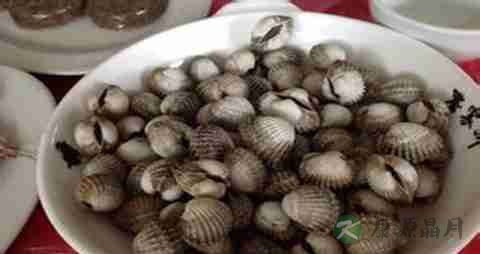 毛蚶的营养价值_吃毛蚶的好处
