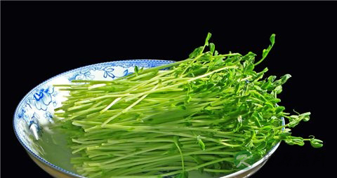 豌豆芽的吃法_哪些人不能吃豌豆芽