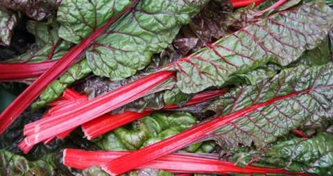 叶甜菜的营养价值_吃叶甜菜的好处