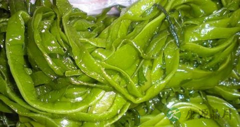 裙带菜的营养价值_吃裙带菜的好处