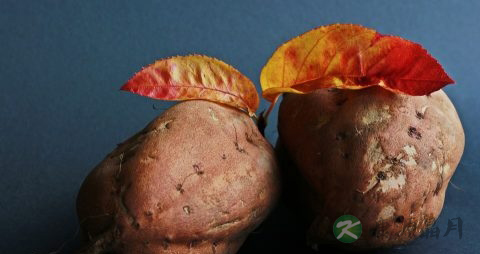 煮地瓜需要多长时间