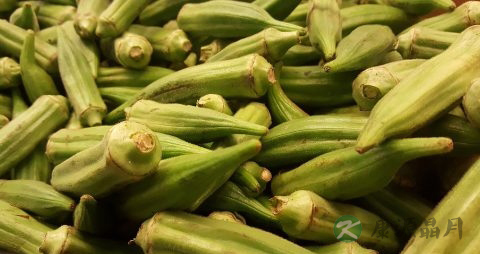 秋葵怎么去毛