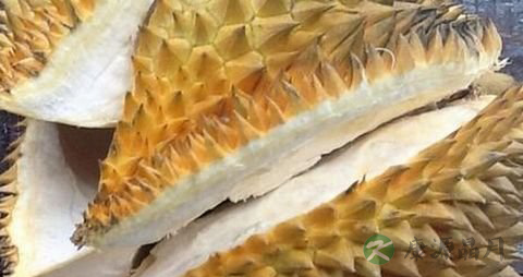 榴莲壳的功效和作用