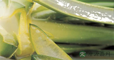 芦荟的吃法_哪些人不能吃芦荟