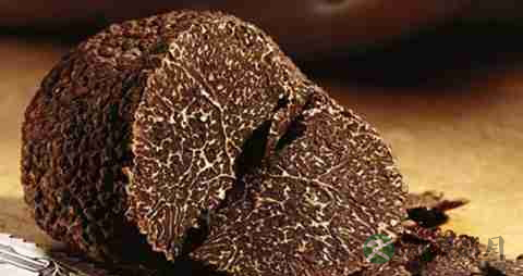 黑松露的营养价值_吃黑松露的好处