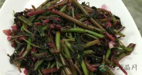 补血菜的吃法_哪些人不能吃补血菜