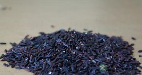 黑米需要浸泡吗 黑米需要浸泡吗