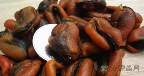 壳菜的吃法_哪些人不能吃壳菜