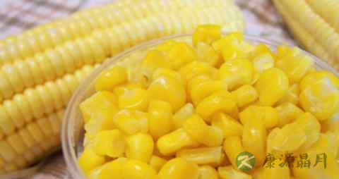 晚上吃玉米会胖吗