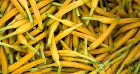 黄花菜的吃法_哪些人不能吃黄花菜