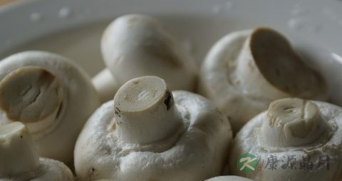 吃香菇前必须要焯水吗 吃香菇前必须要焯水吗