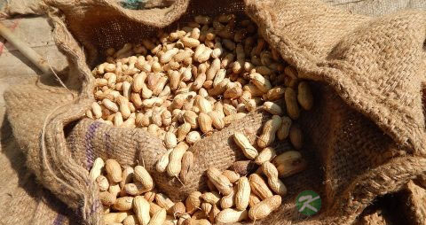 怎样做醋泡花生