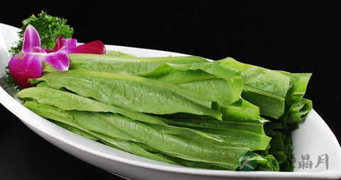 油麦菜的营养价值_吃油麦菜的好处