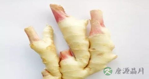 嫩姜怎么腌制