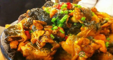 庐山石鸡的营养价值_吃庐山石鸡的好处 庐山石鸡的营养价值_吃庐山石鸡的好处