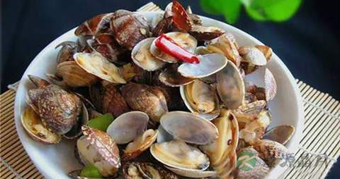 花蛤蜊的营养价值_吃花蛤蜊的好处