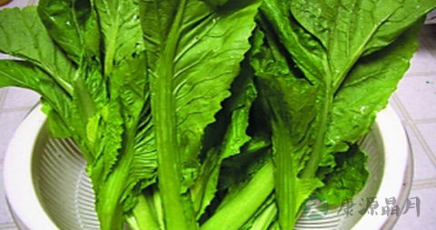把芥菜的营养价值_吃把芥菜的好处