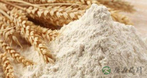 全麦粉的吃法_哪些人不能吃全麦粉 全麦粉的吃法_哪些人不能吃全麦粉