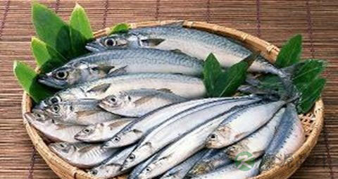 鲅鱼的吃法_哪些人不能吃鲅鱼