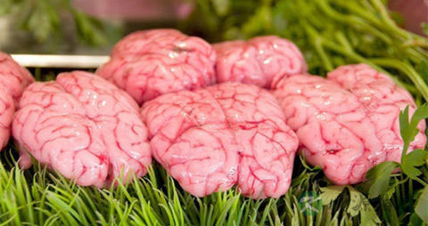 牛脑的吃法_哪些人不能吃牛脑