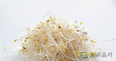 苜蓿芽的营养价值_吃苜蓿芽的好处