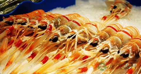 南极虾的吃法_哪些人不能吃南极虾