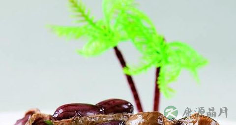 黑花生芽的营养价值