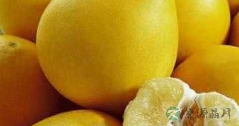 柚子皮能做酵素吗 柚子皮能做酵素吗