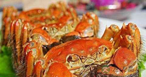 蒸螃蟹冷水还是热水蒸 蒸螃蟹冷水还是热水蒸