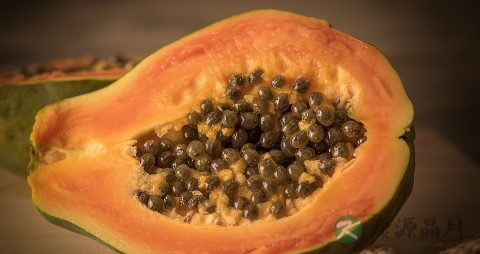 木瓜和什么煲汤丰胸 木瓜和什么煲汤丰胸