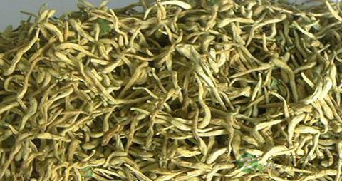 金银花的吃法_哪些人不能吃金银花