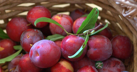 李子吃多了会怎么样