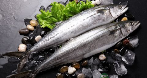 马鲛鱼的营养价值_吃马鲛鱼的好处