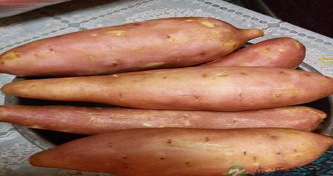 白薯的营养价值_吃白薯的好处