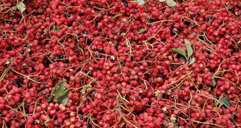 花椒籽的吃法_哪些人不能吃花椒籽