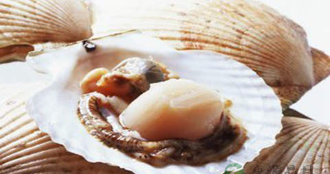 蝴蝶贝的营养价值_吃蝴蝶贝的好处