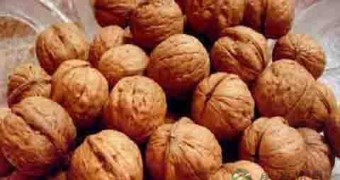 毛核桃的营养价值_吃毛核桃的好处