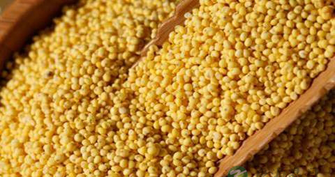 大黄米的营养价值_吃大黄米的好处 大黄米的营养价值_吃大黄米的好处