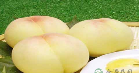 高山白桃的营养价值_吃高山白桃的好处