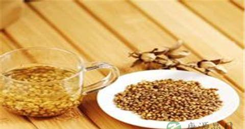 苦荞茶的吃法_哪些人不能吃苦荞茶