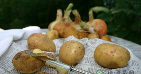 土豆切开后怎么保存 土豆切开后怎么保存