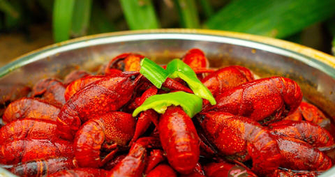 哪里的小龙虾最好吃