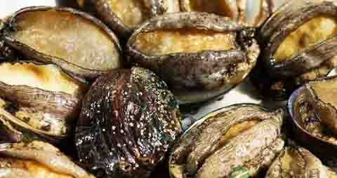 杂色鲍的营养价值_吃杂色鲍的好处 杂色鲍的营养价值_吃杂色鲍的好处