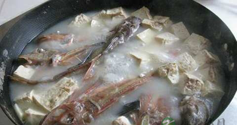 红头鱼的吃法_哪些人不能吃红头鱼