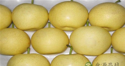 皇冠梨的营养价值_吃皇冠梨的好处