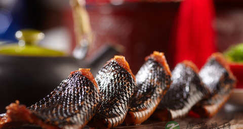 蛇肉的营养价值_吃蛇肉的好处