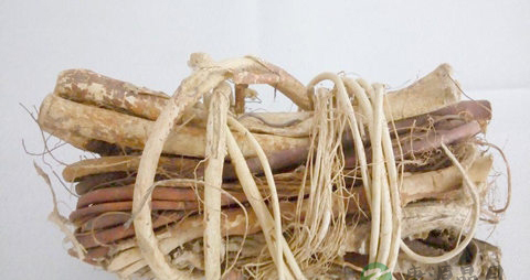 龙骨和什么煲汤