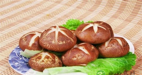 怎么泡香菇更快 怎么泡香菇更快