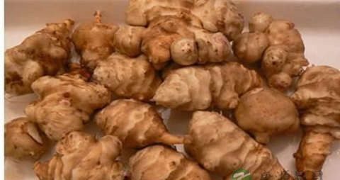 菊芋的吃法_哪些人不能吃菊芋